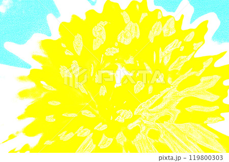 Yellow sunflower on a blue background. hand-drawn illustration. 119800303