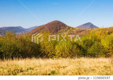 mountain landscape with deciduous forest in autumn. amazing highland. weekend getaway on a sunny day. fall season in transcarpathia. grassy meadow. carpathian mountain range mountain landscape with deciduous forest in autumn. amazing highland. weekend getaway on a sunny day. fall season in transcarpathia. grassy meadow. carpathian mountain range 119800597