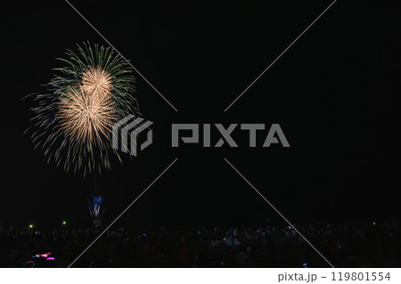 牧之原市相良サンビーチのさがら海上花火大会 夜空に咲く打ち上げ花火(静岡県) 119801554