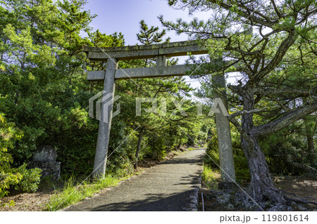 小豆島　富丘八幡神社　鳥居　香川県土庄町 119801614