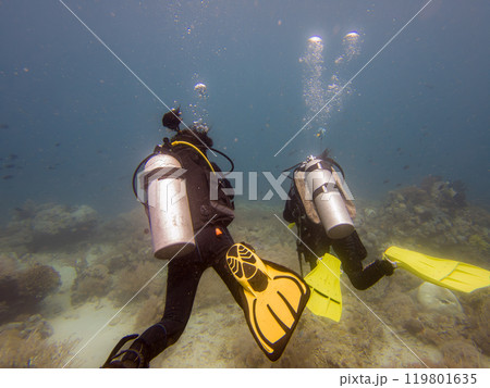 A group of divers blowing air bubbles swim past beautiful corals underwater 119801635