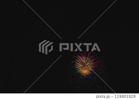 常滑焼まつり協賛花火大会の夜空に夜空に咲く花(愛知県) 119801829