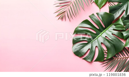 A bright and creative color scheme created from tropical leaves on a pink background 119801836