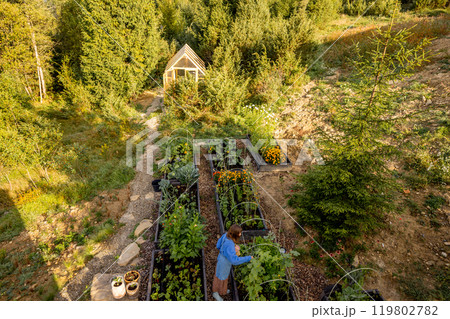 Morning Harvest in the Garden Morning Harvest in the Garden 119802782