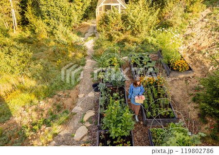 Morning Harvest in the Garden 119802786