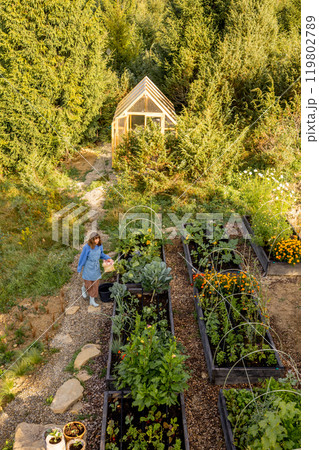 Morning Harvest in the Garden Morning Harvest in the Garden 119802789