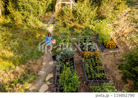 Morning Harvest in the Garden Morning Harvest in the Garden 119802790