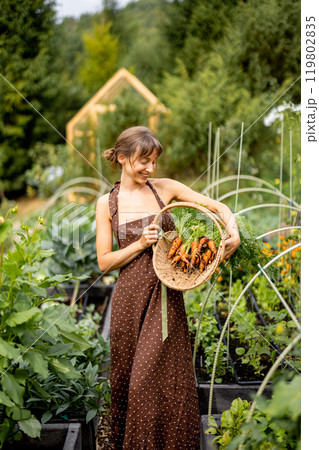 Harvest Joy 119802835