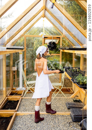 Stylish Sustainability 119802859