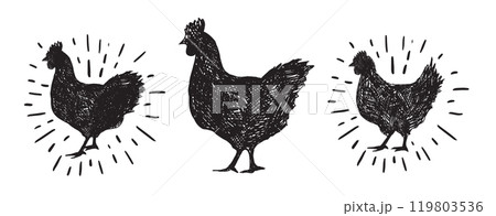 Chicken hand drawn illustration, Vector illustration.	 119803536