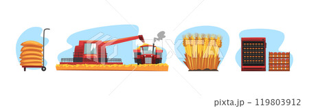 Bread Production Process and Step Scene Vector Set Bread Production Process and Step Scene Vector Set 119803912