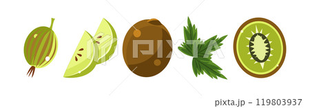 Green Fruit with Kiwi and Gooseberry Vector Set Green Fruit with Kiwi and Gooseberry Vector Set 119803937