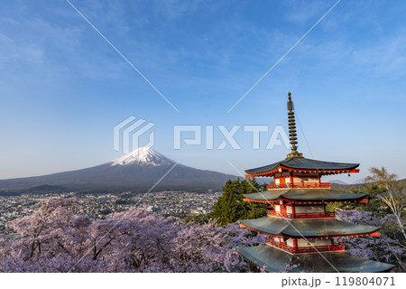 新倉山公園から望む富士山と満開のソメイヨシノ 山梨県富士吉田市 新倉山公園から望む富士山と満開のソメイヨシノ 山梨県富士吉田市 119804071
