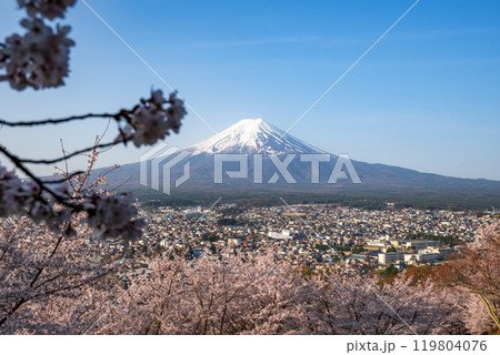 新倉山公園から望む富士山と満開のソメイヨシノ　山梨県富士吉田市 119804076