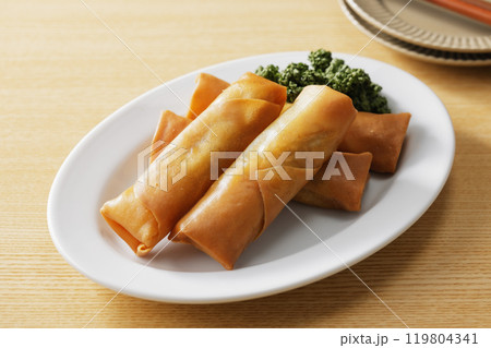 春巻き 春巻き 119804341