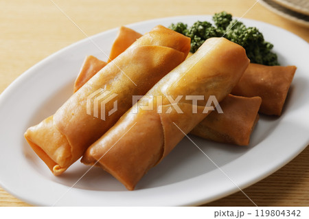 春巻き 春巻き 119804342