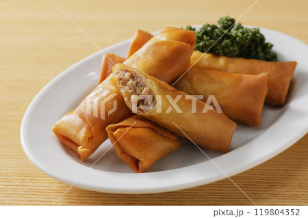 春巻き 春巻き 119804352