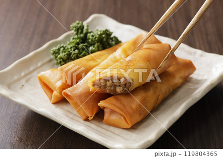 春巻き 119804365