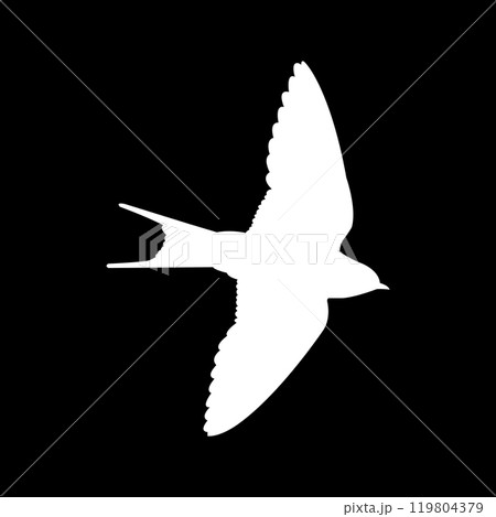 Swallow logo 119804379