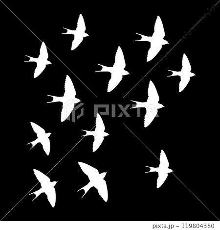 Swallow logo 119804380