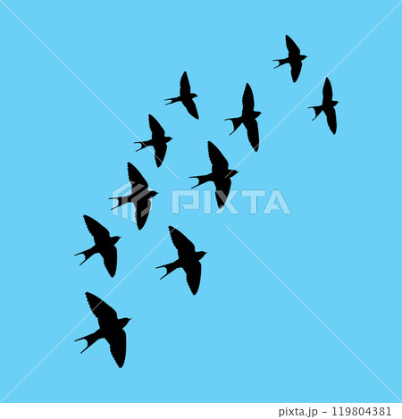 Swallow logo 119804381