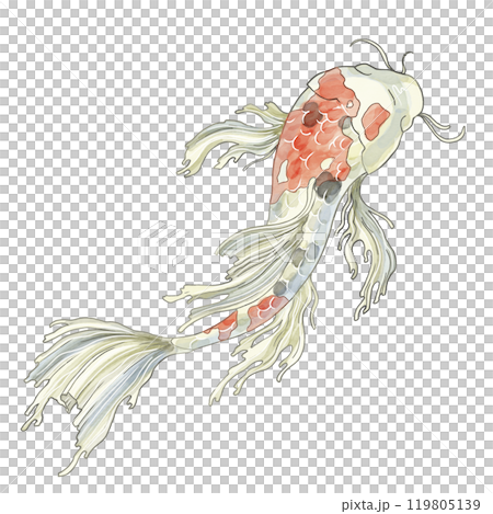 Japanese Koi fish, top view. Watercolor illustration of a decorative carp in pastel colors. For printing on dishes, postcards, notebooks or horoscopes. Registration of aquarium fish products and feeds Japanese Koi fish, top view. Watercolor illustration of a decorative carp in pastel colors. For printing on dishes, postcards, notebooks or horoscopes. Registration of aquarium fish products and feeds 119805139