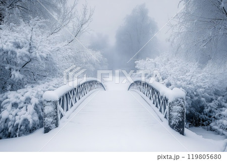 beautiful snowy bridge in the park 119805680