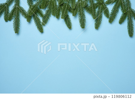 Green spruce branches on blue background, Christmas background Green spruce branches on blue background, Christmas background 119806112