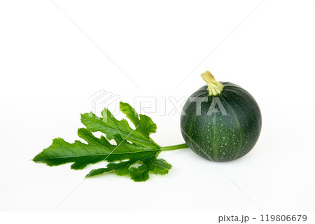 Green zucchini or round courgette, cucurbita pepo on white background Green zucchini or round courgette, cucurbita pepo on white background 119806679