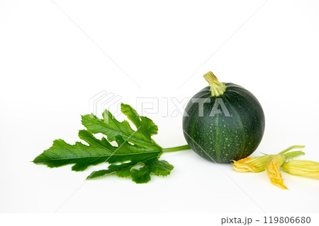 Green zucchini or round courgette, cucurbita pepo on white background Green zucchini or round courgette, cucurbita pepo on white background 119806680