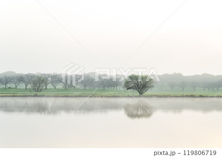 山頂から昇る朝日と筑波山 119806719