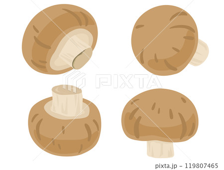 ブラウンマッシュルームのイラストセット 119807465