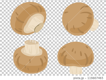 ブラウンマッシュルームのイラストセット 119807465