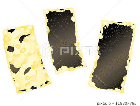 美味しそうな海苔の天ぷら 119807763