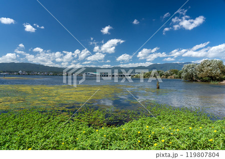 守山市湖畔から見る琵琶湖大橋 119807804