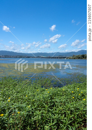 守山市湖畔から見る琵琶湖大橋 守山市湖畔から見る琵琶湖大橋 119807807