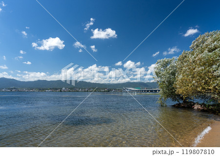 守山市湖畔から見る琵琶湖大橋 守山市湖畔から見る琵琶湖大橋 119807810
