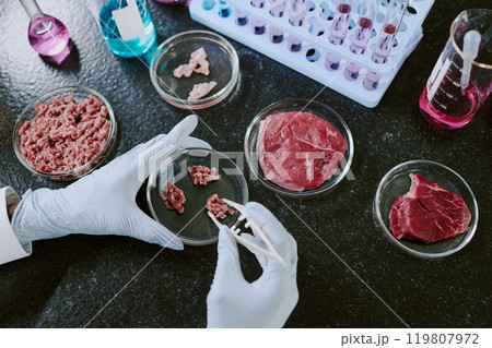 Scientist in laboratory conducting tests on meat samples using petri dishes and tweezers. Samples of different meat cuts displayed on lab table with scientific equipment surrounding Scientist in laboratory conducting tests on meat samples using petri dishes and tweezers. Samples of different meat cuts displayed on lab table with scientific equipment surrounding 119807972