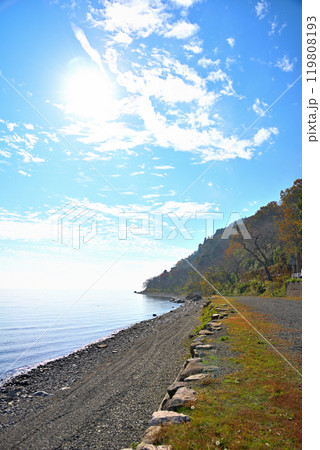 《滋賀県》琵琶湖　秋の海津大崎 119808193