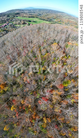 空撮「岩手県」平庭高原の白樺林と紅葉 空撮「岩手県」平庭高原の白樺林と紅葉 119808548
