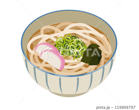 かけうどんのベクターイラスト 119808787