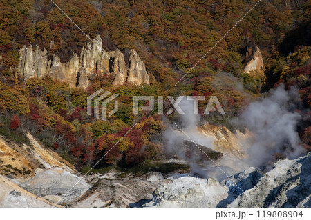 登別地獄谷の紅葉 登別地獄谷の紅葉 119808904