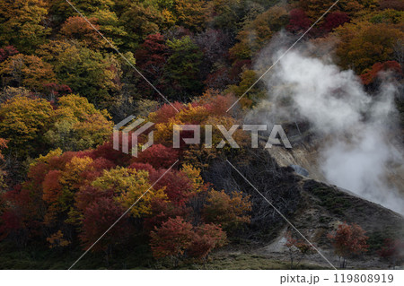 登別地獄谷の紅葉 119808919