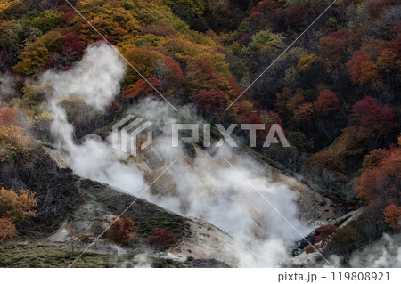 登別地獄谷の紅葉 登別地獄谷の紅葉 119808921