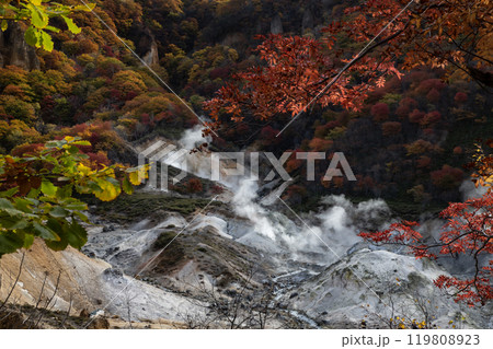 登別地獄谷の紅葉 119808923