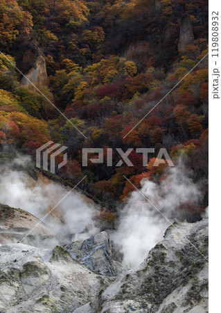 登別地獄谷の紅葉 登別地獄谷の紅葉 119808932