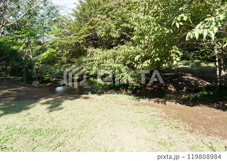 わき水広場で遊ぶ 野川沿い 野川公園横 秋晴れの青空 東京都三鷹市大沢 わき水広場で遊ぶ 野川沿い 野川公園横 秋晴れの青空 東京都三鷹市大沢 119808984