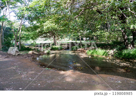 わき水広場 野川沿い 野川公園横 秋晴れの青空 東京都三鷹市大沢 わき水広場 野川沿い 野川公園横 秋晴れの青空 東京都三鷹市大沢 119808985