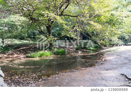 わき水広場 水と戯れる 野川沿い 野川公園横 秋晴れの青空 東京都三鷹市大沢 わき水広場 水と戯れる 野川沿い 野川公園横 秋晴れの青空 東京都三鷹市大沢 119808989