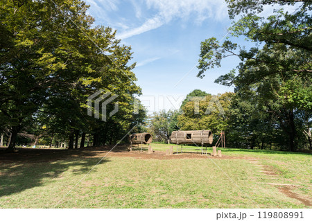 野川公園の不思議な遊具　秋晴れの青空　東京都三鷹市大沢 119808991